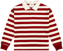  maroon + white stripe