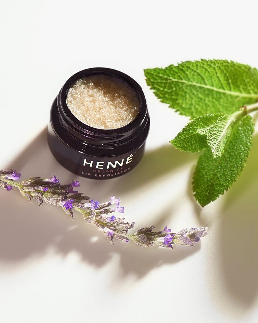 Lip Exfoliator | Lavender/Mint
