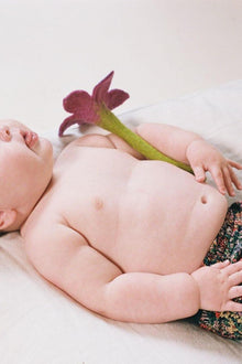 Infant wearing dark floral patterned swim trunks lying on white bedding with a burgundy flower nearby.