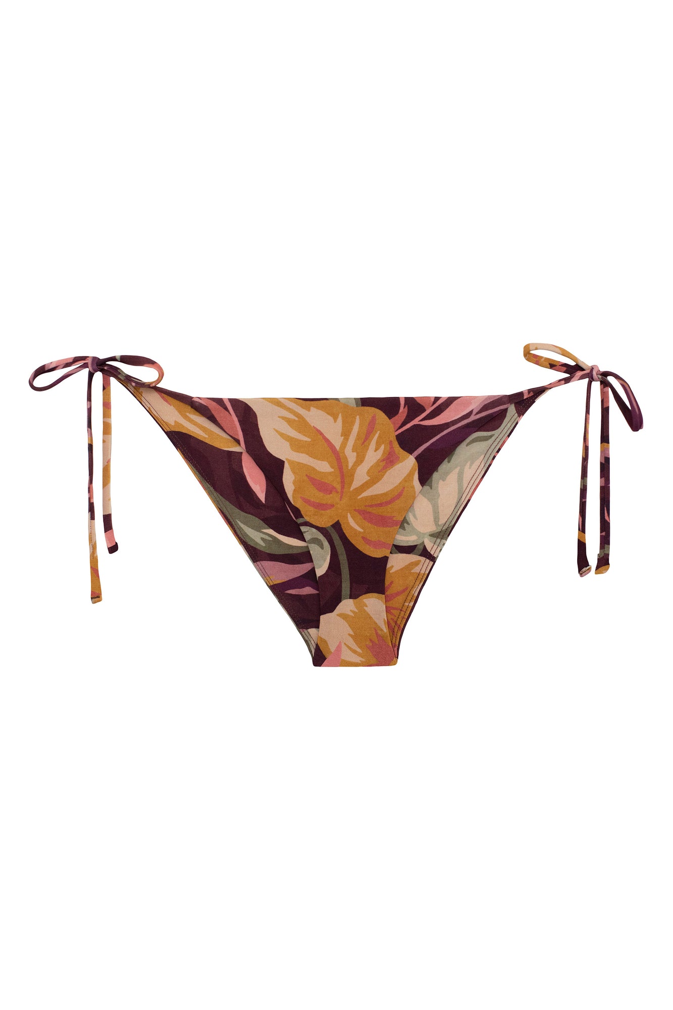 Pacifica Bottom | Fauna